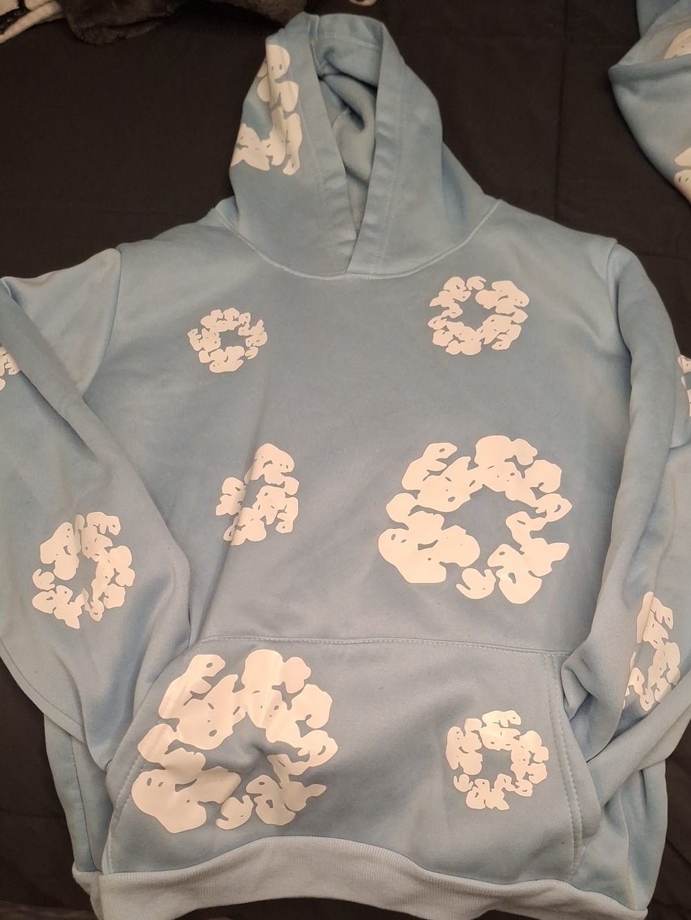 Light Blue Floral Graphic Hoodie Sweater And Pants